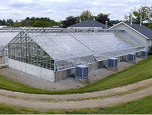 UNH Greenhouse