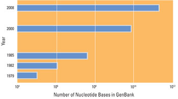 Graph illustrating nucleotide bases in GenBank.