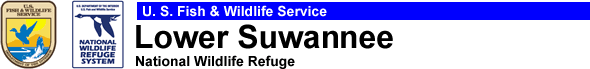 Lower Suwannee NWR header