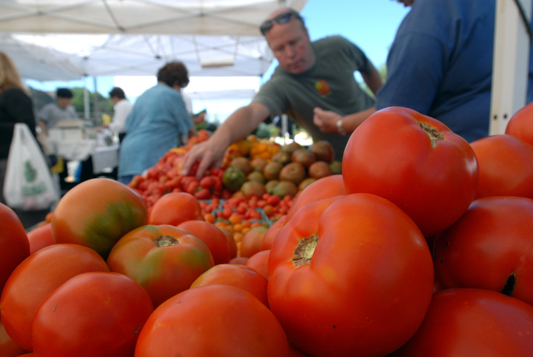 Tomatoes at a farmers' market.