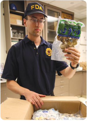 FDA imports specialist examining hardshell clams