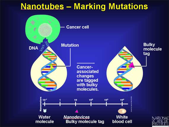 Nanotubes - Marking Mutations