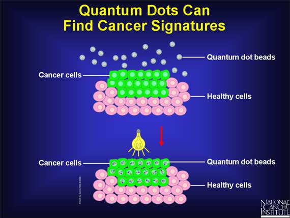 Quantum Dots Can Find Cancer Signatures