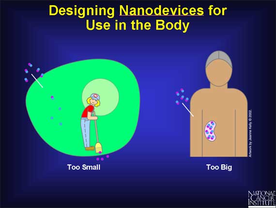 Designing Nanodevices for Use in the Body