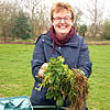 Woman holding garden clippings over compost bin