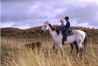 riders on horses