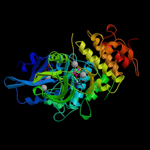 n image of a protein from Mycobacterium tuberculosis.
