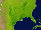 Spring Vegetation in North America