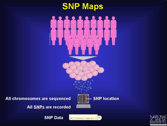 SNP Maps