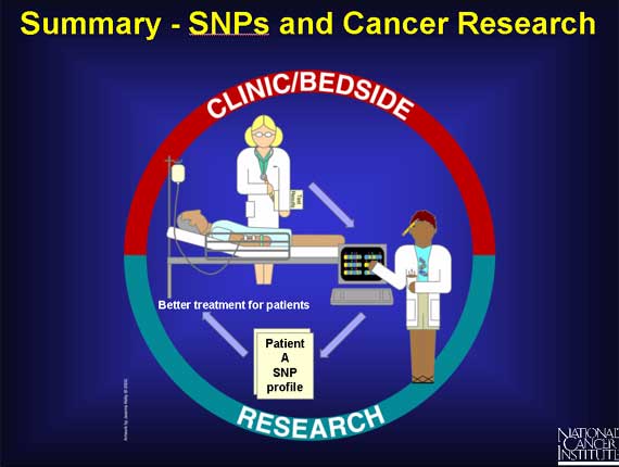 Summary - SNPs and Cancer Research