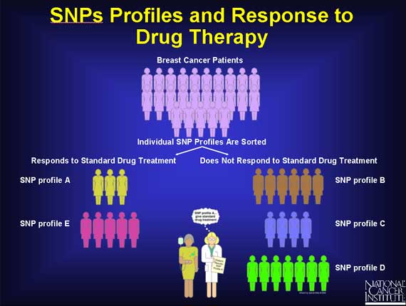 SNPs Profiles and Response to Drug Therapy