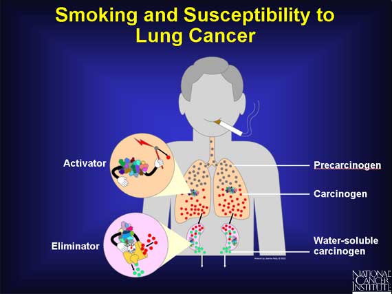Smoking and Susceptibility to Lung Cancer
