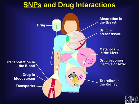 SNPs and Drug Interactions