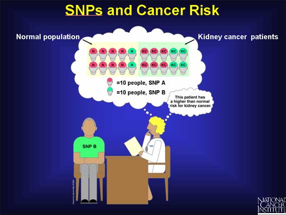 SNPs and Cancer Risk