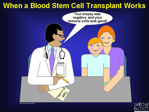 When a Blood Stem Cell Transplant Works