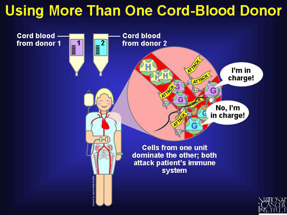 Using More Than One Cord-Blood Donor