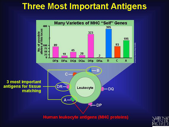 Three Most Important Antigens