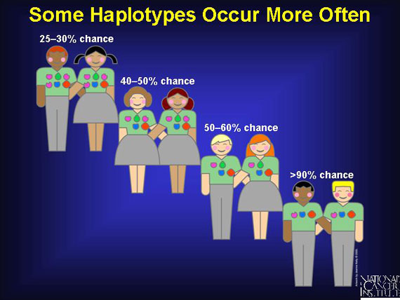 Some Haplotypes Occur More Often