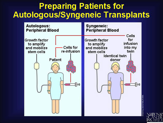 Preparing Patients for Autologous/Syngeneic Transplants