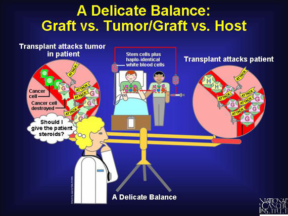 A Delicate Balance: Graft vs. Tumor/Graft vs. Host