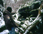 image of a ranger pointing at cave entrance