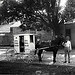 Rural Free Delivery Carrier and Wagon von Smithsonian Institution