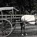Letter Carrier with Mail Wagon von Smithsonian Institution