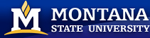 Montana State University!
