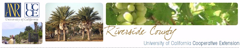 Riverside County Cooperative Extension Web Site