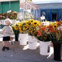 Fresh flowers are in abundance at the Boulder Farmers Market