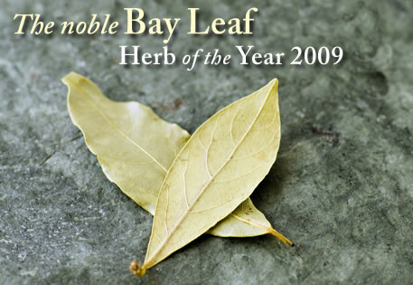 Spice of the Year 2009 - bay leaf