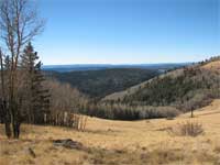 looking southwest from Toolbox Draw toward the Black River in late October after the aspen leaves have fallen.