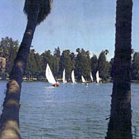Sailboats on Lake Evans, 1985