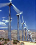 wind turbines in the western U.S.