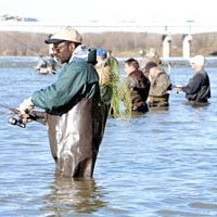 Fisherman wading in Maumee River, April 1999