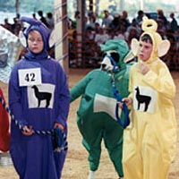 Kids and their llamas dress up for the annual Llama Costume Contest