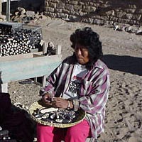 Hopi woman takes seed from blue corn for next year's crop