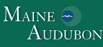 Maine Audubon Logo