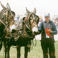Mule Show, April 1996
