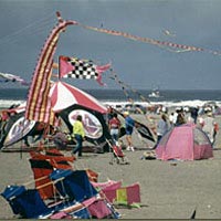 Kite-flying at Long Beach