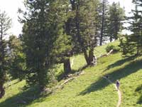 hiker on the Mores Mountain extension.