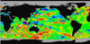 TOPEX/Poseidon and Jason-1 Global data