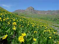 Mule's Ears.