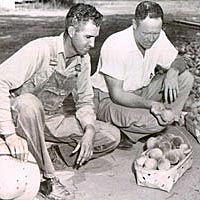 Grower and extension agent examine crop during 1950s