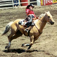 Jodi Chastian, Sisters Rodeo Queen, 1999