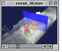 TRMM view of Hurricane Susan