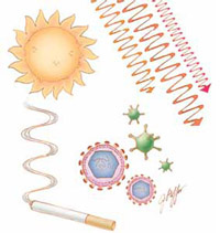 Illustration of the Sun, cigarette and viruses