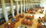 Students studying at desks in a large hall