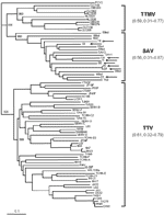 Appendix Figure 2.