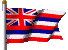 Waving Hawaii Flag